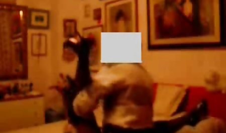 شخص سکس برتر جهان با الهام از سبزه آنا فاکس است
